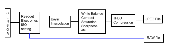 Understanding Post Processing in Photography: Art, Reality & Image Quality — figure 1